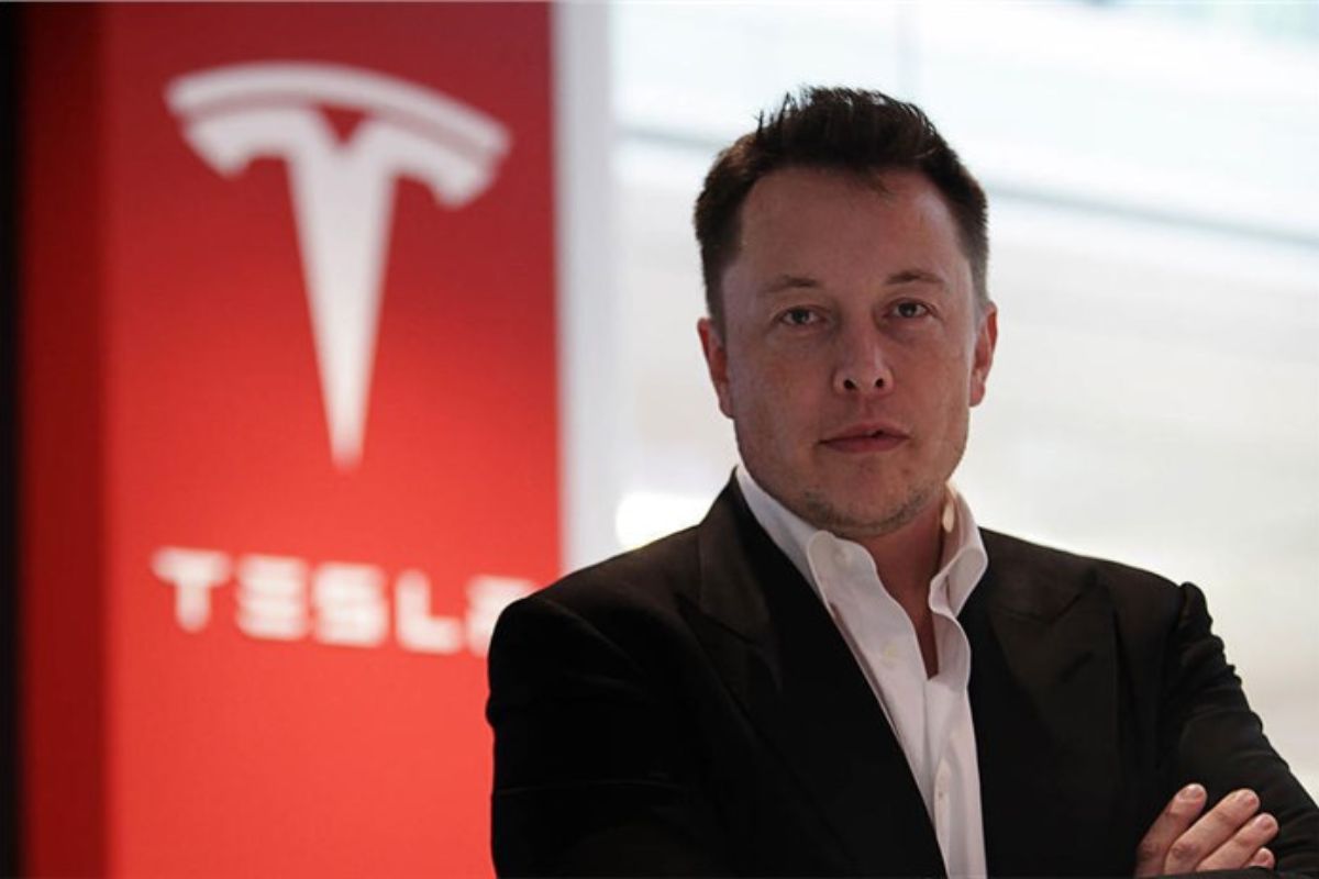 Elon Musk's net worth Fall, Elon Musk, Tesla Share Price, Twitter