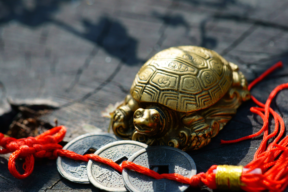 Feng Shui Kachua Tortoise Turtle