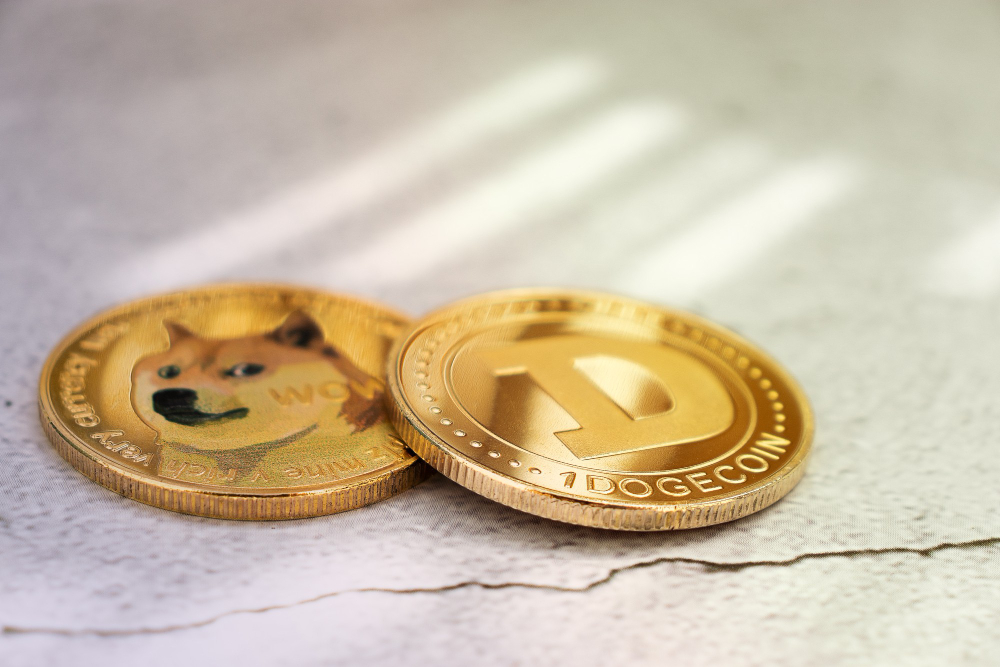dogecoint to pkr dogecoin in pakistan dogecoin rates in pakistan cryptocurrency in pakistan pakistan crypto update 2022