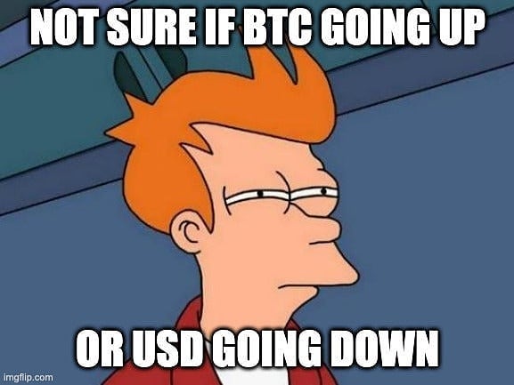 bitcoin fall