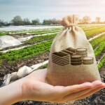 What are the types of crop loans?, Crop Loan
