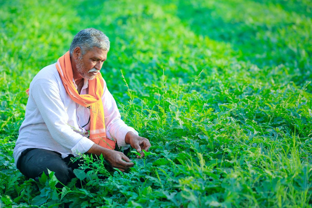 PM Kisan 13th Instalment : पीएम किसान योजनेचा 13 वा हप्ता कधी मिळणार, जाणून घ्या