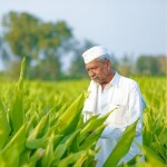 Scheme for Farmers by Government of India,PM Kisan Sanman Nidhi Yojana