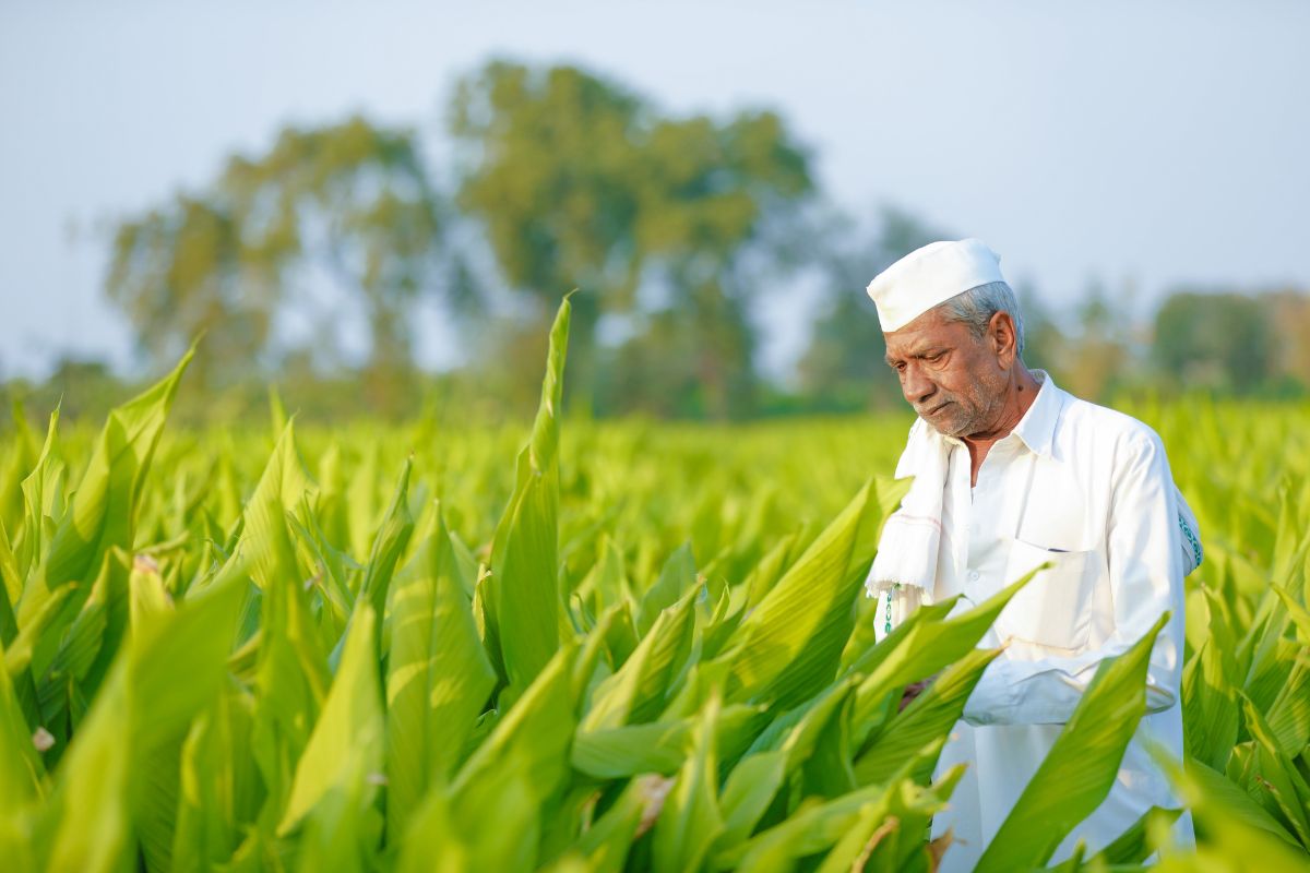 Scheme For Farmers By Government Of India: शेतकऱ्यांसाठी असलेल्या ...