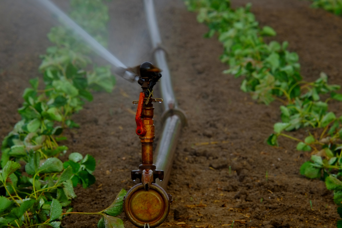 What is Micro Irrigation